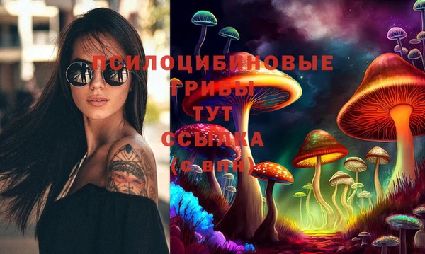 ГАЛЛЮЦИНОГЕННЫЕ ГРИБЫ Армянск