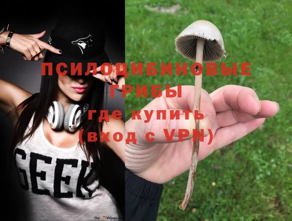 ГАЛЛЮЦИНОГЕННЫЕ ГРИБЫ Армянск