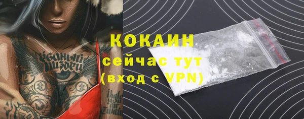 спайс Арсеньев